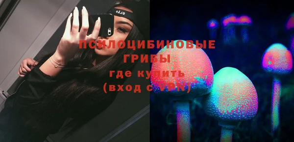 PSILOCYBIN Абинск