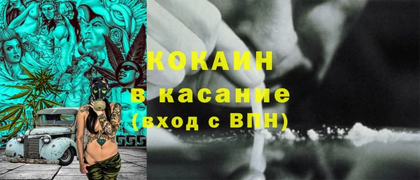 прущие грибы Абаза