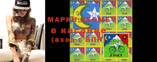 прущие грибы Абаза
