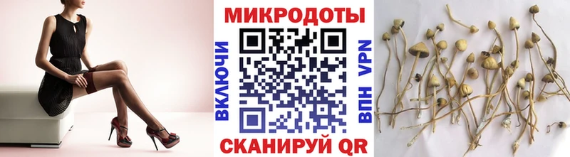 shop наркотические препараты  Шарья  Галлюциногенные грибы мицелий  где купить  